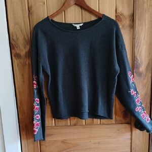 American Eagle Oufitters Embroidered Crop Fleece - Medium